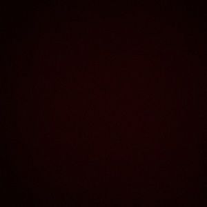 Meet your Posher, Allie